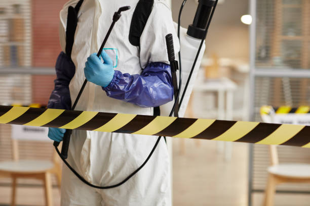 Professional Sewage Cleanup technician working in Carmel Valley, CA